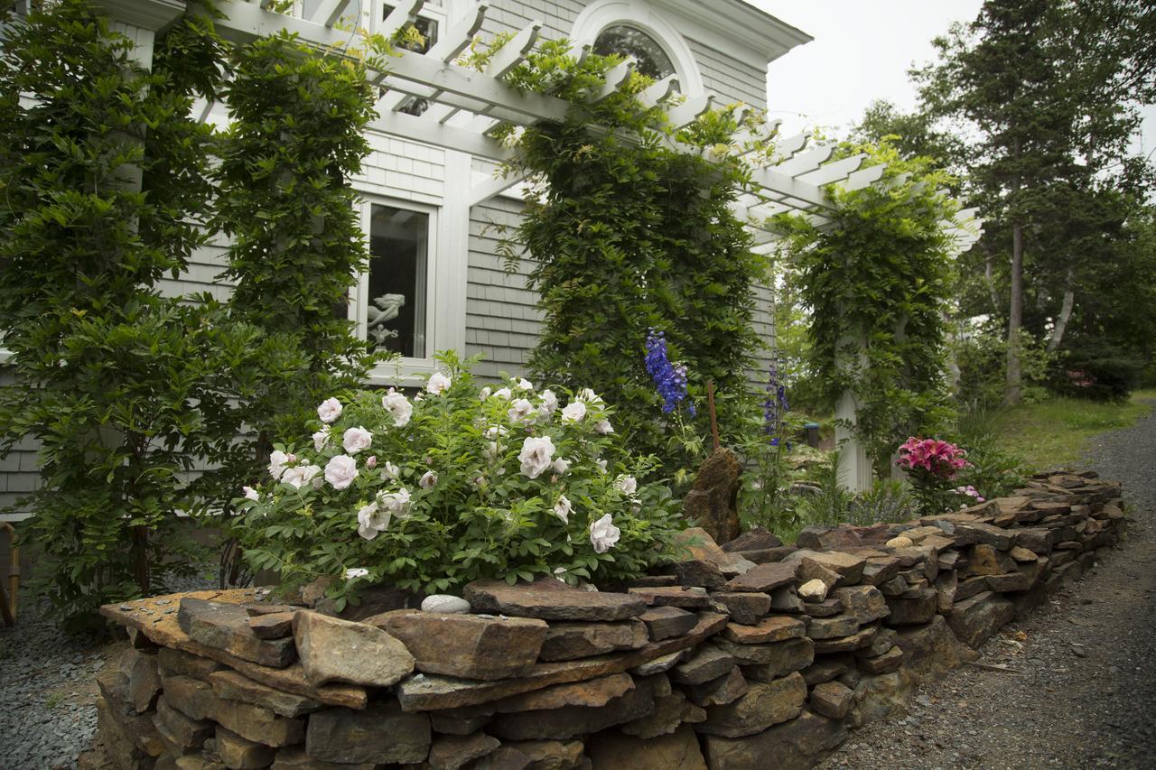 Star Of The Sea B&B Herring Cove Экстерьер фото